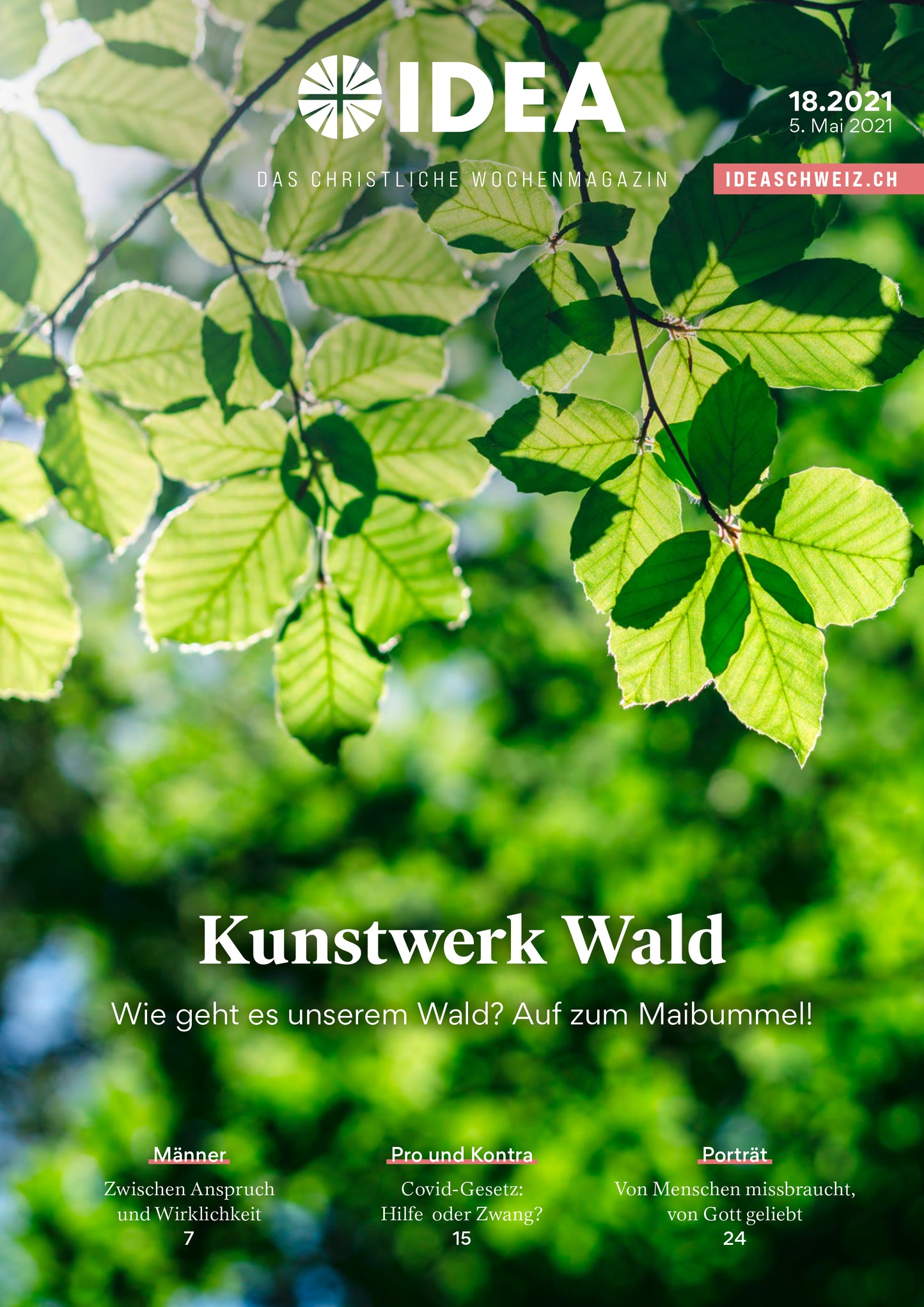 2021-18 Kunstwerk Wald