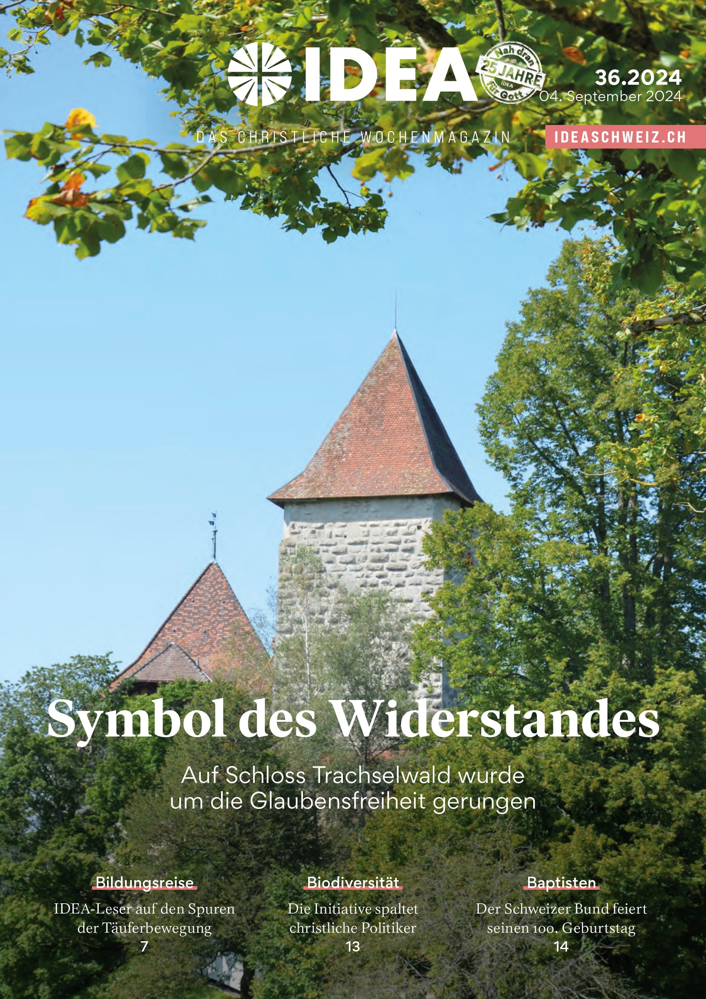 2024-36 Symbol des Widerstandes