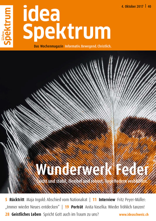 2017-40 Wunderwerk Feder